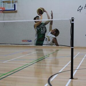 Badminton Posts